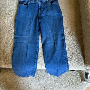 Gloria Vanderbilt Woman’s Blue Jeans